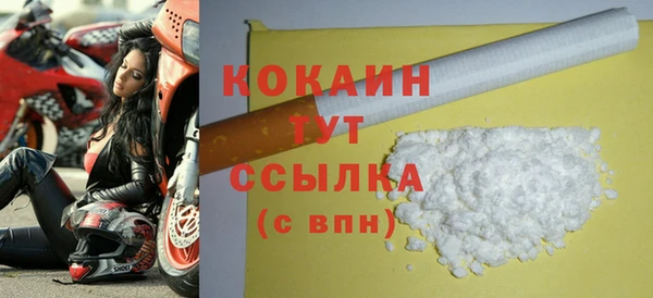 прущие грибы Козельск