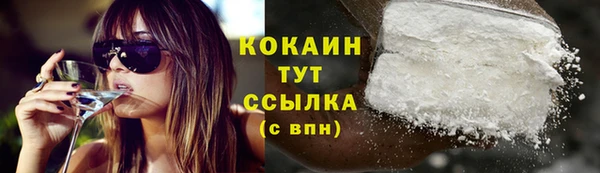 прущие грибы Козельск