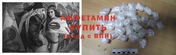 прущие грибы Козельск