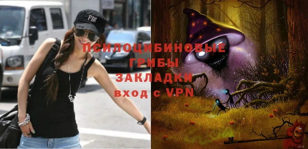 прущие грибы Козельск