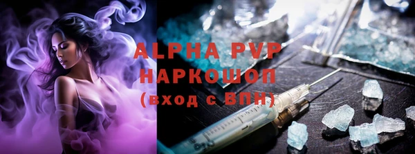 прущие грибы Козельск